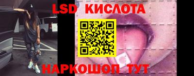 стаф Кингисепп