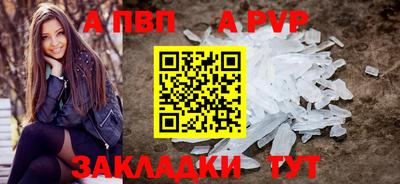 стаф Кингисепп