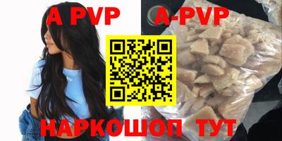 стаф Кингисепп