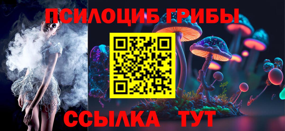 Галлюциногенные грибы Psilocybine cubensis Донецк