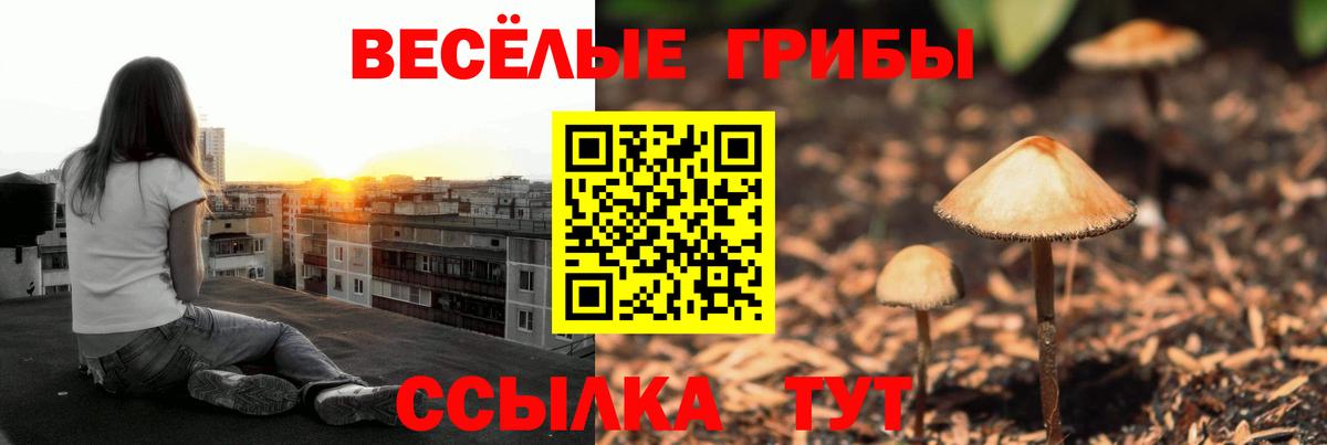 Галлюциногенные грибы мухоморы  Вход с VPN  Донецк 