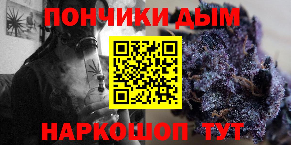 Каннабис сатива Донецк